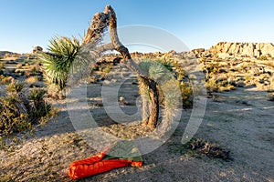 UGQ Down Quilt in Joshua Tree National Park