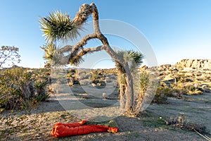 UGQ Down Quilt in Joshua Tree National Park