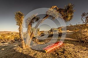 UGQ Down Quilt in Joshua Tree National Park