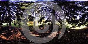 UHD 4K 360 VR virtual reality of a city park recreation area. Trees and green grass at autumn or summer day