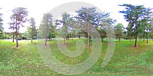 UHD 4K 360 VR Virtual Reality of a city park recreation area. Trees and green grass at autumn or summer day