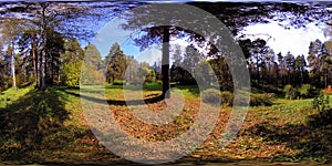 UHD 4K 360 VR Virtual Reality of a city park recreation area. Trees and green grass at autumn or summer day