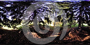 UHD 4K 360 VR Virtual Reality of a city park recreation area. Trees and green grass at autumn or summer day