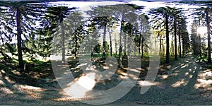 UHD 4K 360 VR Virtual Reality of a city park recreation area. Trees and green grass at autumn or summer day