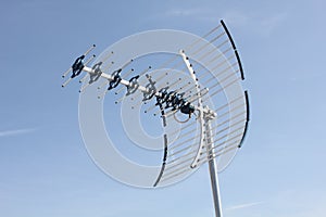 UHF Antenna