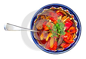 Uigur soup lagman with meat and vegetables