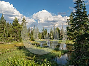 Uinta-Wasatch-Cache National Forest, Mirror Lake, Utah, United States, America, near Slat Lake and Park City