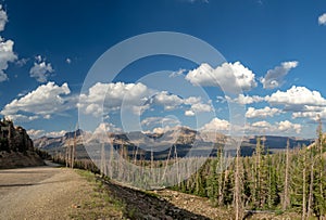 Uinta-Wasatch-Cache National Forest, Mirror Lake, Utah, United States, America, near Slat Lake and Park City