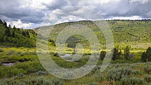 Uinta Wasatch national forest landscape in Utah