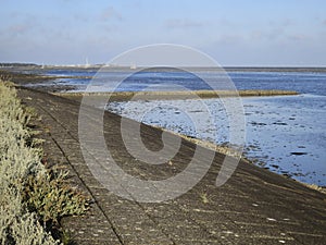 Waddenzee, Wadden Sea