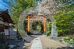 Ujigami Shrine, a Shinto shrine in the city of Uji, Kyoto, Japan photo