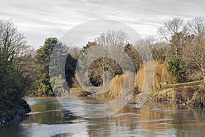 Uk countryside river medway near Maidstone Kent photo