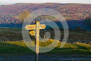 UK footpath finger post catching sun