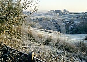 UK, Glos, Cotswolds, Heavy frost valley Chalford