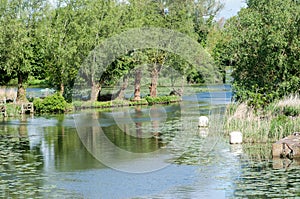 UK Habitat managed river