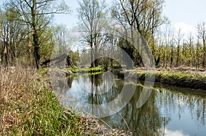 UK habitats river course