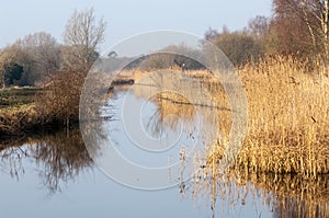 UK habitats Water course and marginals