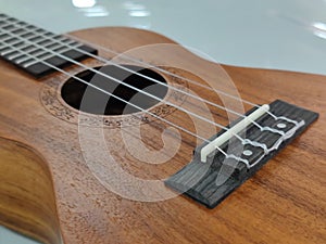 Ukelele close up of strings and designs
