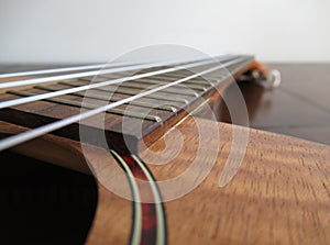 Ukelele Hawaiian Instrument Strings Close-up Macro Fretboard