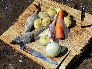 Ukha (fish soup), ingredients for cooking. Still life. Vegetables freshly caught fish, knives