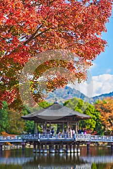 Ukimidou with red maple in autumn.