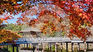 Ukimidou with red maple in autumn.