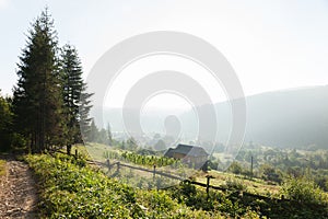 Ukraine Carpathians mountains in fog, green summer valley