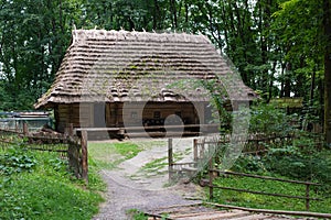 Ukraine, city of Lviv. Wooden house in the forest.