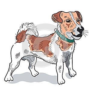 Ukraine Dog Patron, jack russell terrier vector Illustration