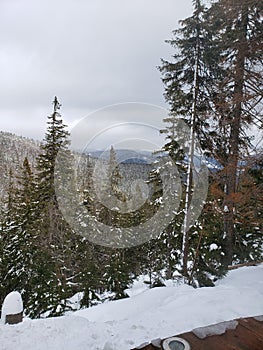 Ukraine. Dragobrat. Ski resort in Dragobrat