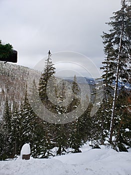 Ukraine. Dragobrat. Ski resort in Dragobrat