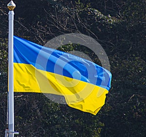 Ukraine flag flying half mast
