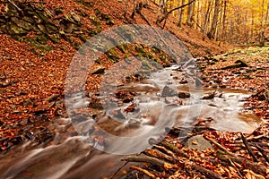 Ukraine. A gentle stream cascades around moss-covered rocks surrounded by trees adorned with autumn foliage in the