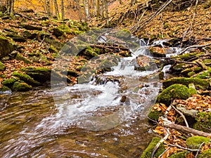 Ukraine. A gentle stream cascades around moss-covered rocks surrounded by trees adorned with autumn foliage in the