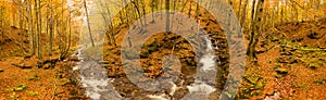 Ukraine. A gentle stream cascades around moss-covered rocks surrounded by trees adorned with autumn foliage in the