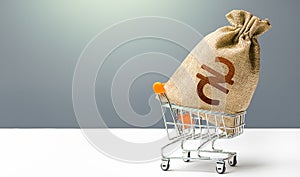 Ukraine hryvnia money bag in a shopping cart. Business and trade concept. Public budgeting. Profits and super profits. Consumer
