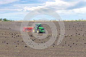 Ukraine, Khmelnytsky region, September 2021. A tractor with a seeder in a field sows a grain of winter wheat. Crows in the autumn