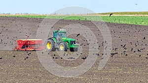 Ukraine, Khmelnytsky region, September 2021. A tractor with a seeder in a field sows a grain of winter wheat. Crows in the autumn