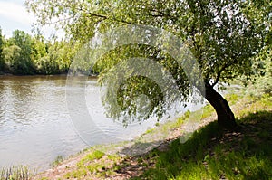 Ukraine nature landscape and Desna river in Chernihiv