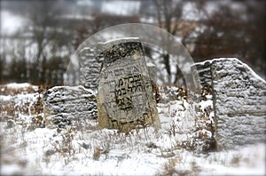 11.23.2014. Ukraine. An old Jewish cemetery. Ancient tombstones with inscriptions in Yiddish sticking out of the earth.