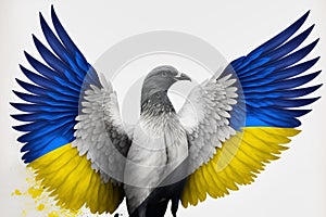 Ukraine peace dove with spread wings