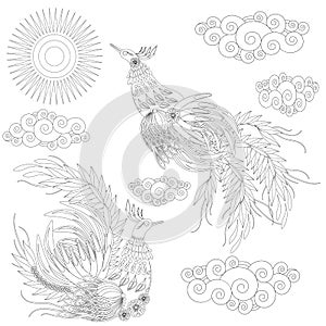 Ukraine style bird coloring book for adults vector illustration. Anti-stress coloring for adult