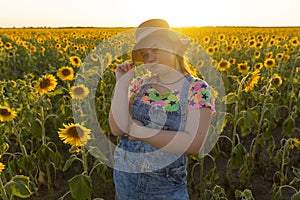 Ukraine. Summer evening. Field with sunflowers