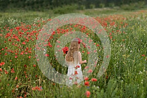 Ukrainian Beautiful girl in field of poppies and wheat. outdoor portrait in poppies