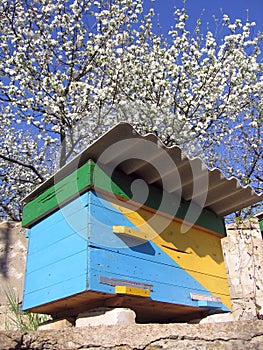 Ukrainian beehive