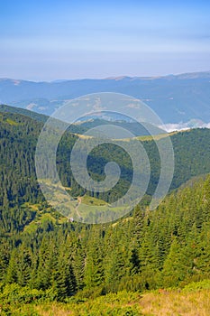 Ukrainian carpathian mountains in summer