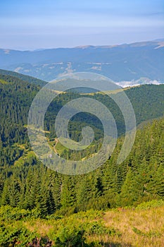 Ukrainian carpathian mountains in summer