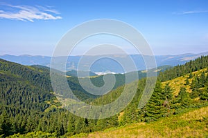 Ukrainian carpathian mountains in summer