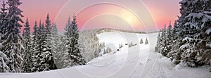 Ukrainian Carpathians snowy forest