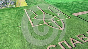 Ukrainian coat of arms Trident in the middle of a green field